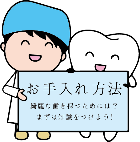 歯のお手入れ方法